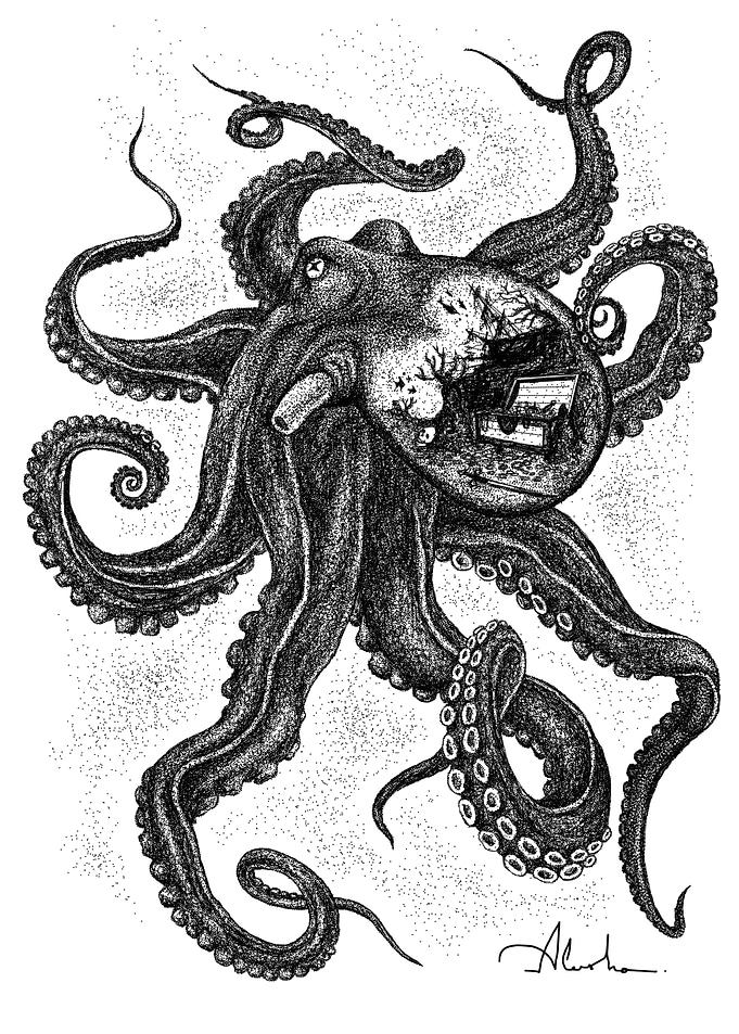 OCTOPUS