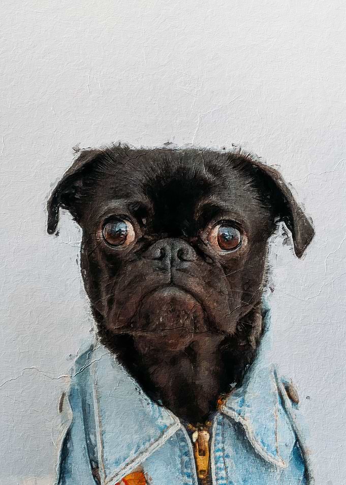 Smart Pug
