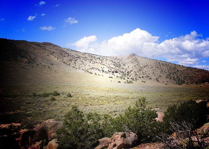 Rock Bush Tree Hill Cloud