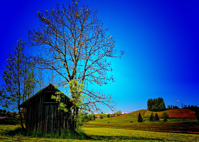 Nature Earth Countryside T