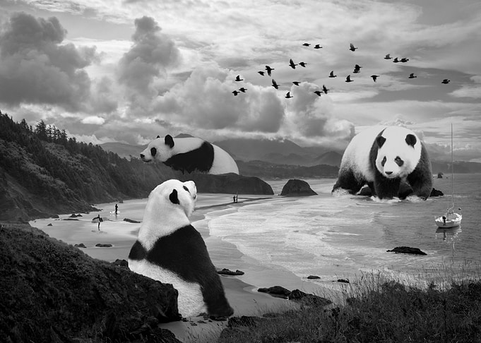 Panda Beach