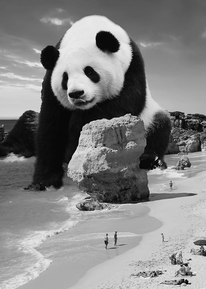 Giant Panda at the Beach