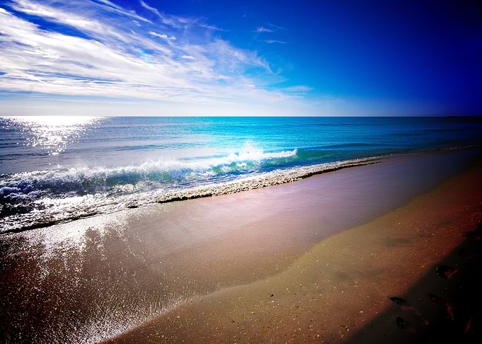 Earth Beach Sea Sand Water