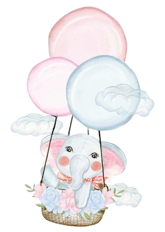cute elephant spring