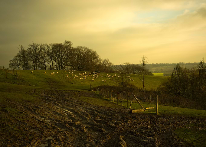 The Isle of Oxney
