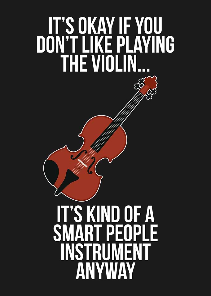 VIOLIN FUNNY GIFT IDEA
