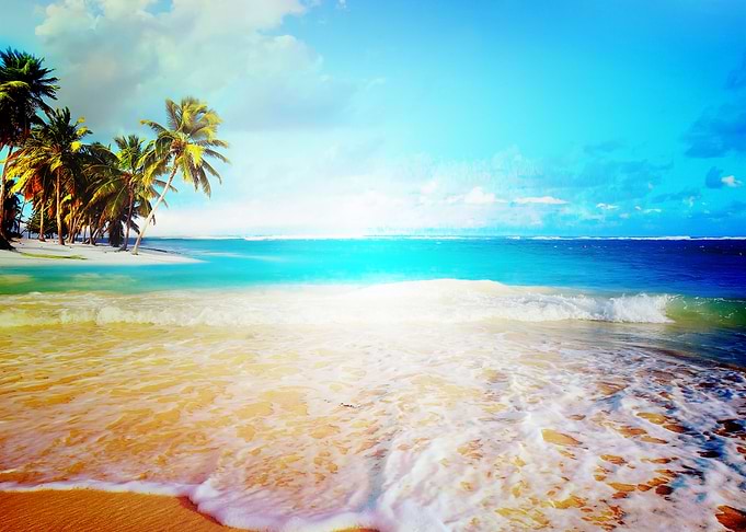 Earth Beach Nature Tropica