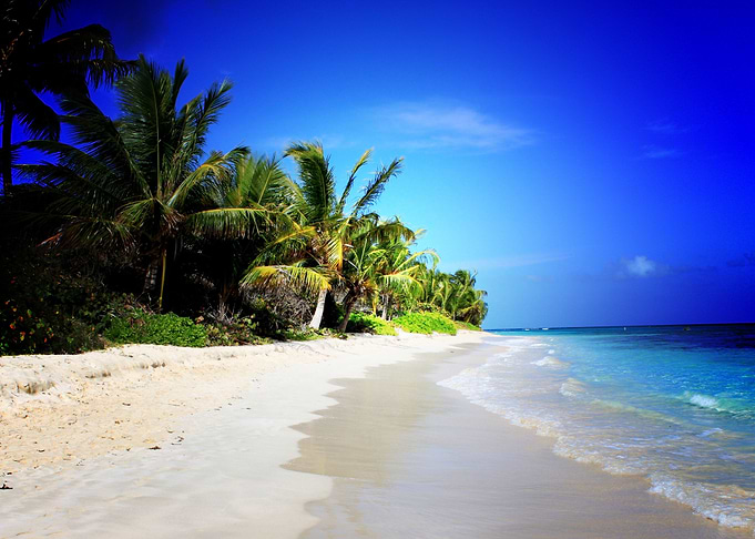 Earth Beach Puerto Rico Fl