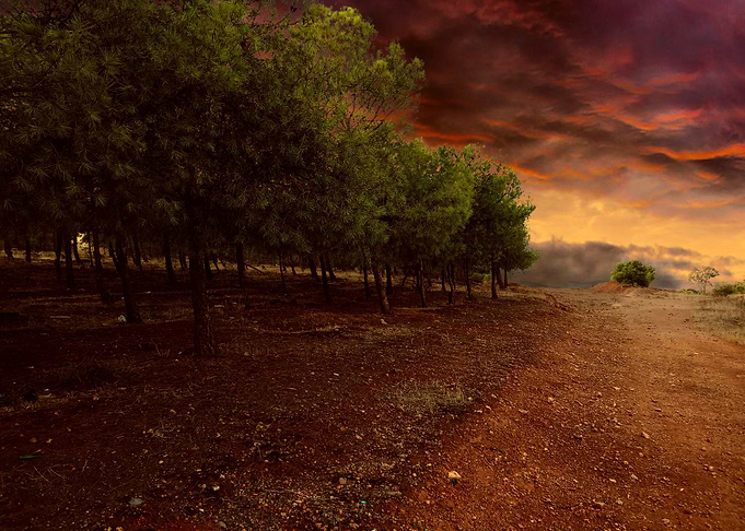 Splendid nature in africa