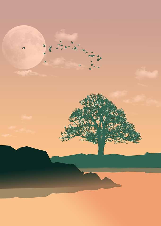 twilight silhouette