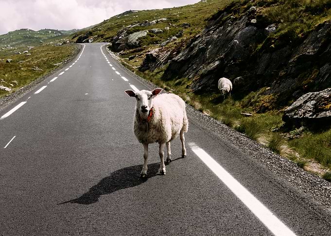 From the street of Norway