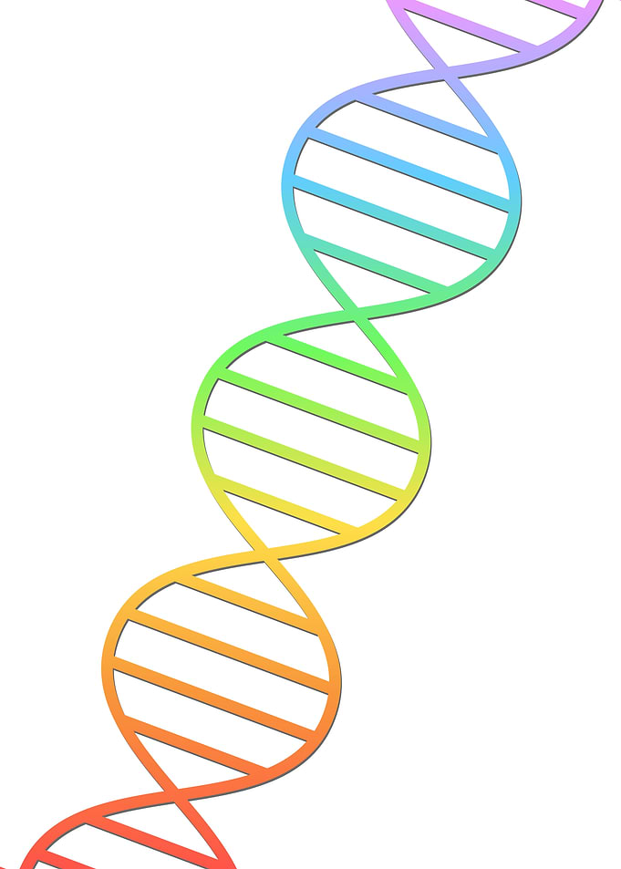 Rainbow DNA