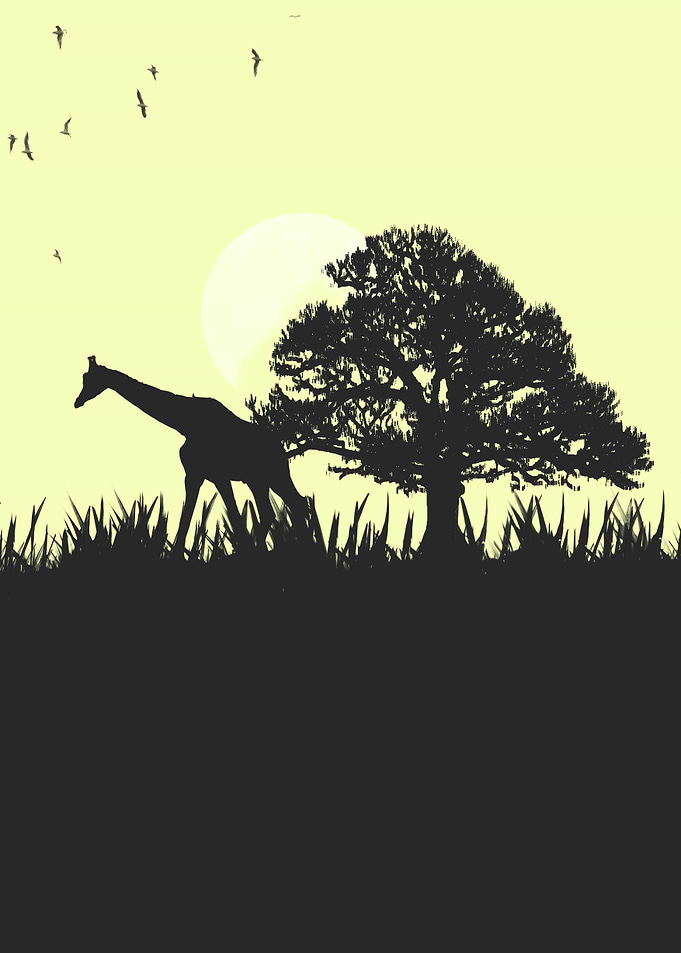 beautiful silhouette