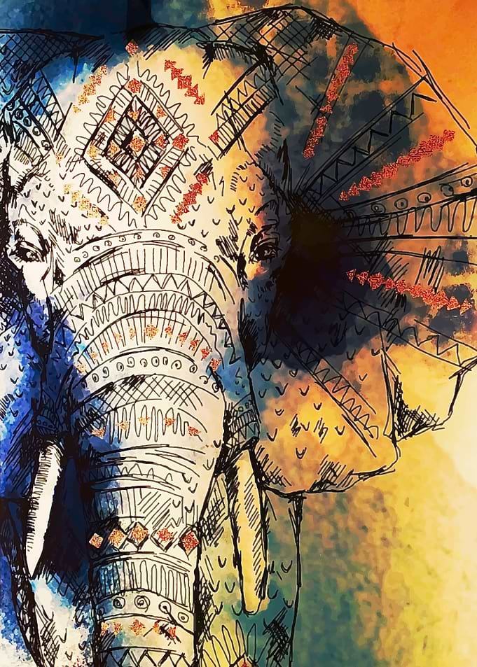 Indian elephant