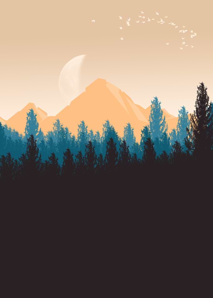 beautiful twilight forest