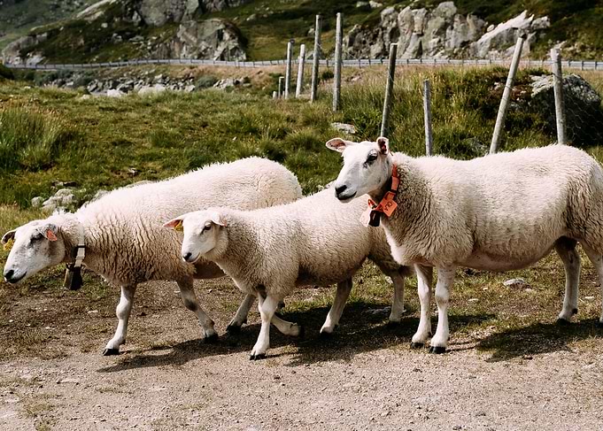 From the street of Norway