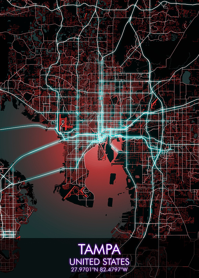 TAMPA City Map