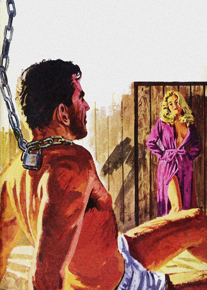 Wild lover pulp cover art