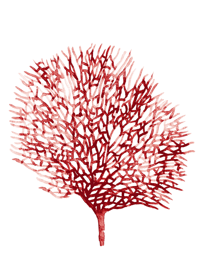 Red Coral Painting Seafan
