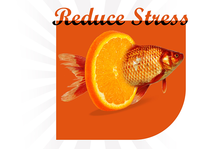 Orange Fish