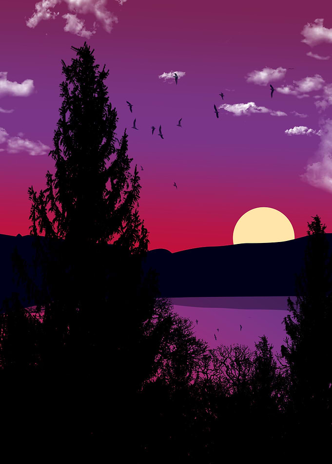 beautiful sea silhouette