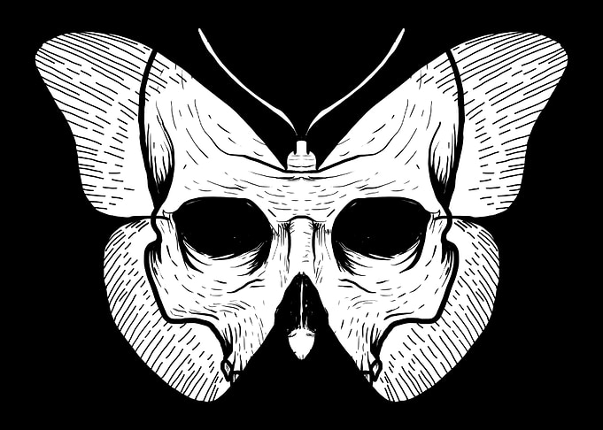 Skull Butterfly