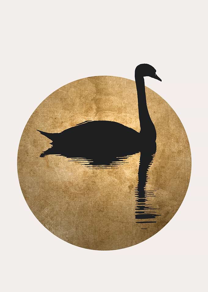 The Swan