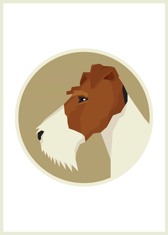 Fox Terrier