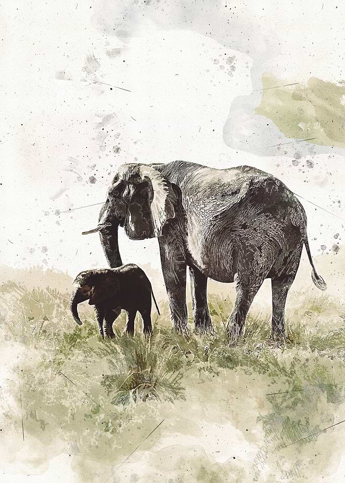 Elephant