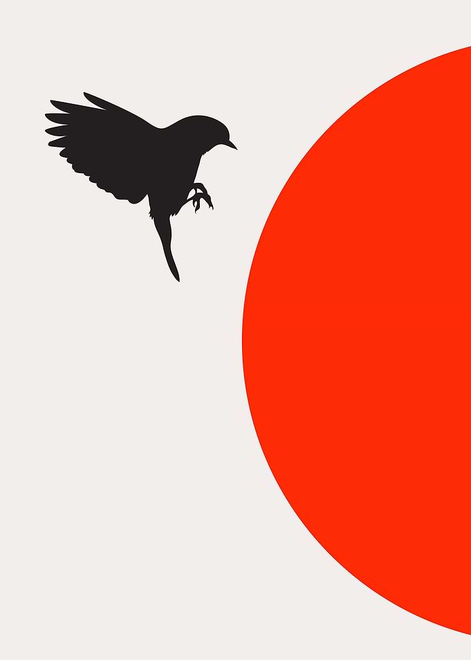 Birds In The Sky