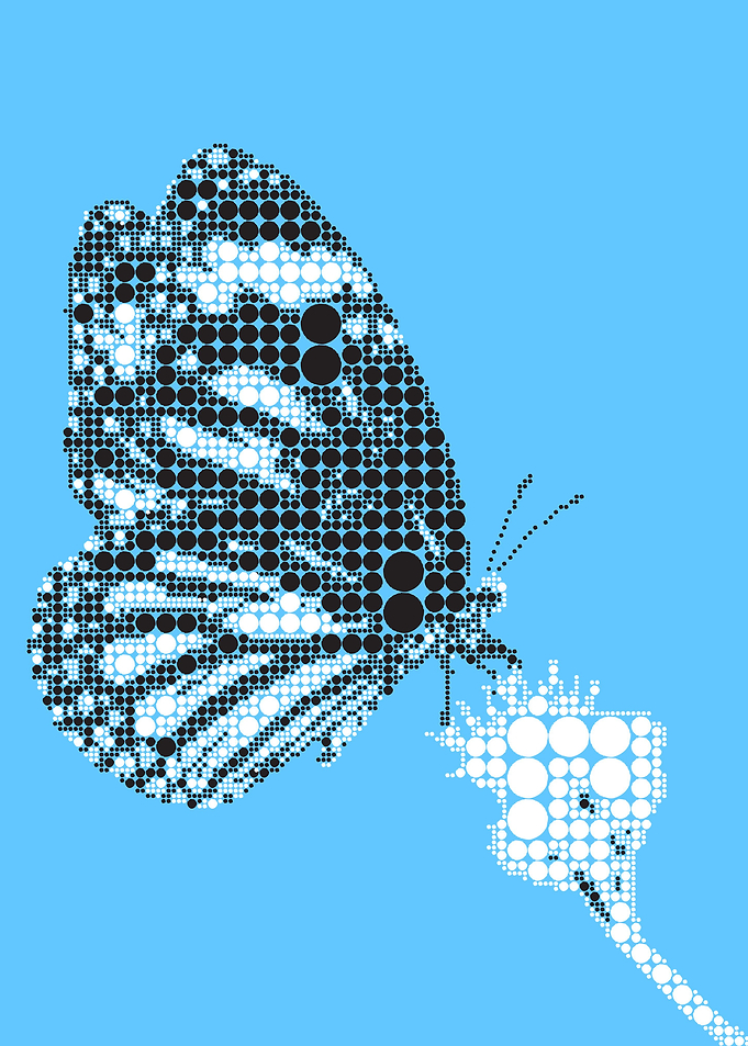 Butterfly on the flower