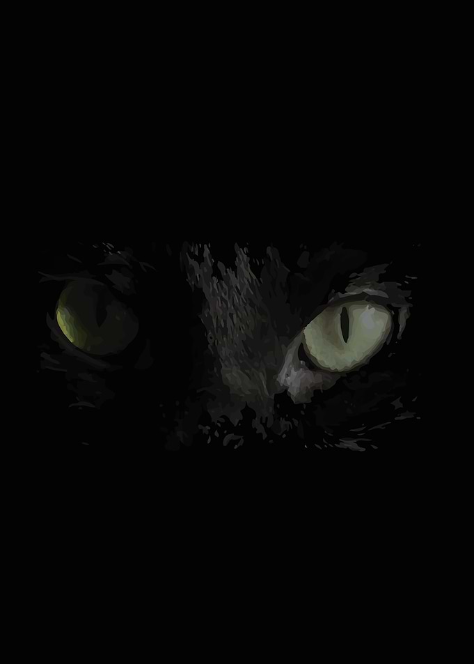 Deep in shadow