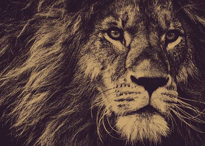 Lion King