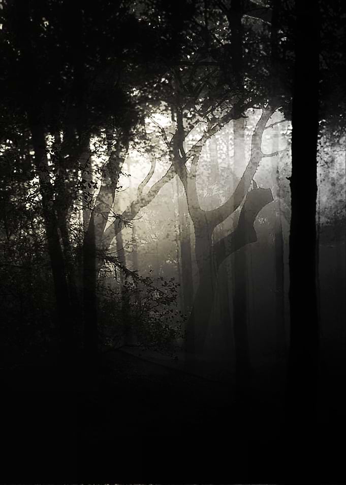 black nature