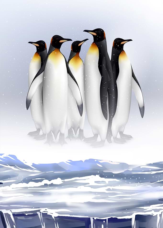 Penguine on Ice glacier