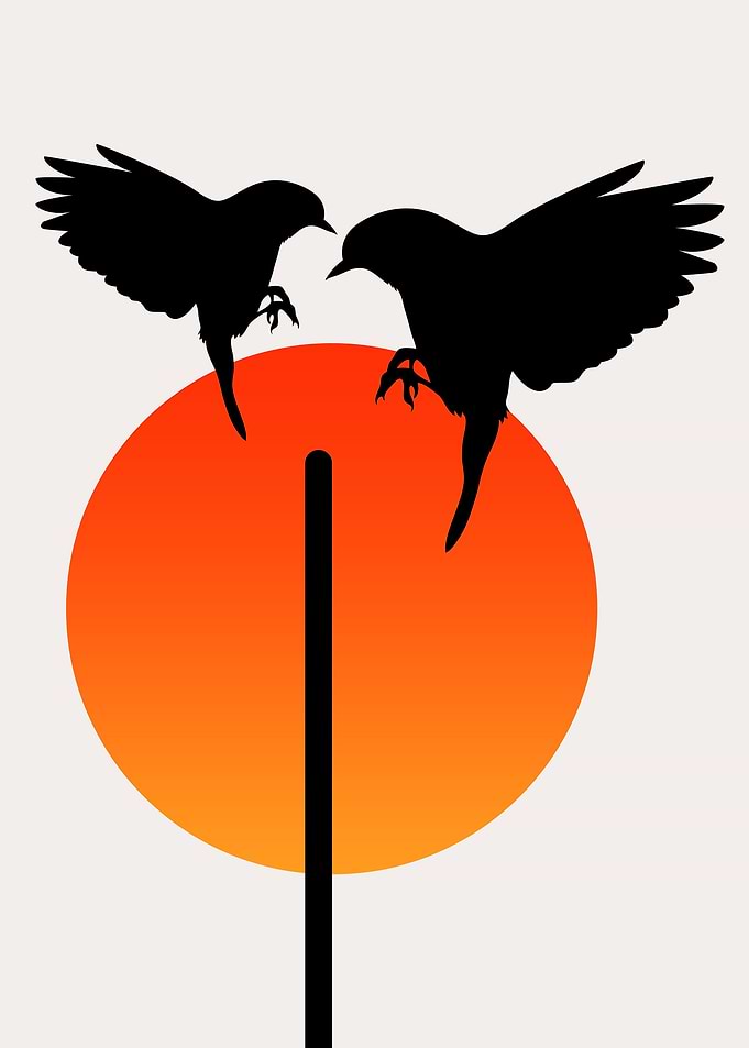 Tweet Tweet