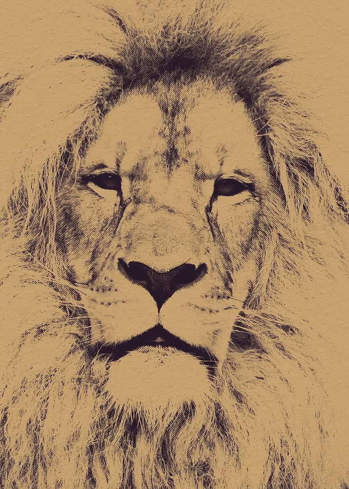 King of the Jungle