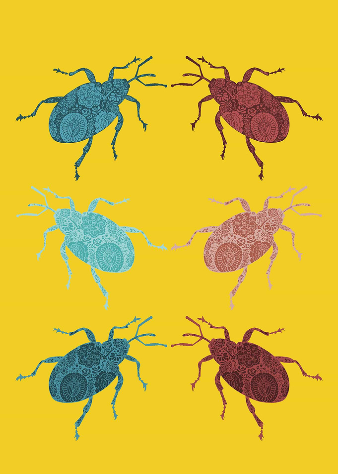 6 Weevils on Yellow Backgr