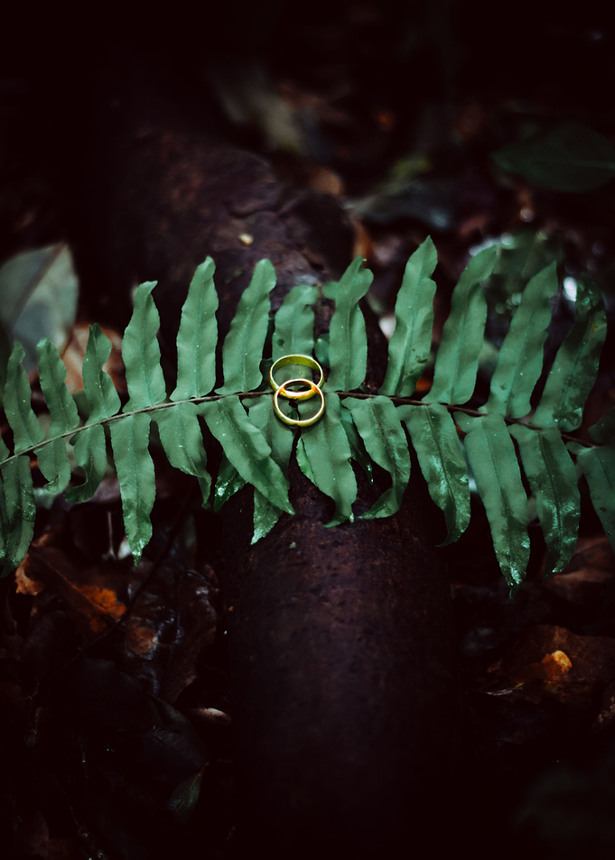 The Ring