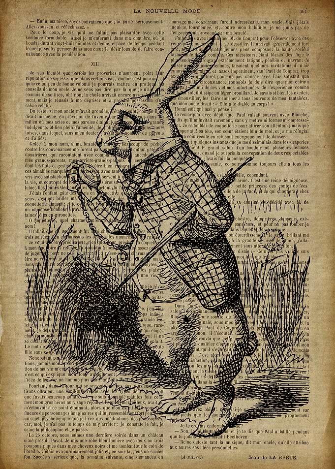 White Rabbit