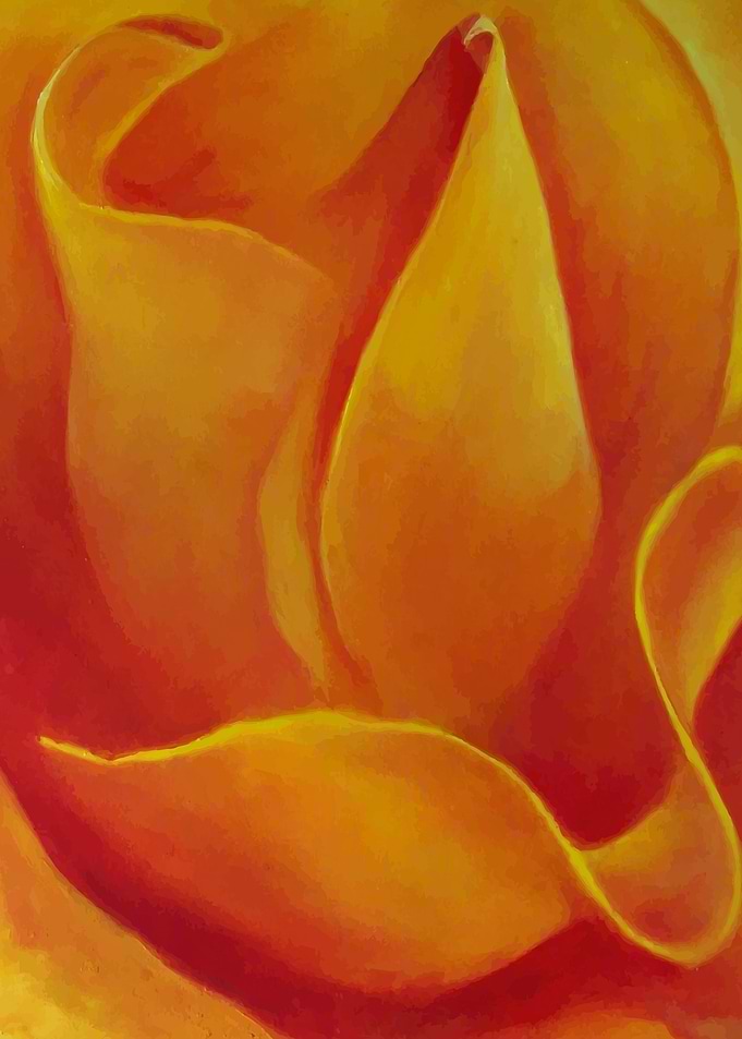 rose fower