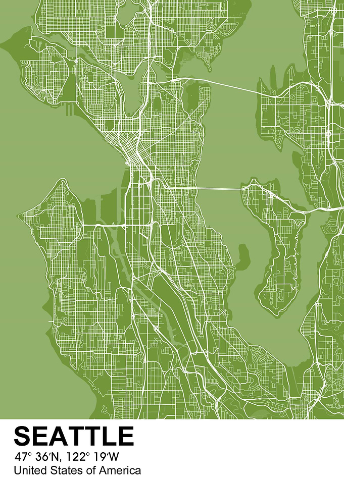 seattle color city map
