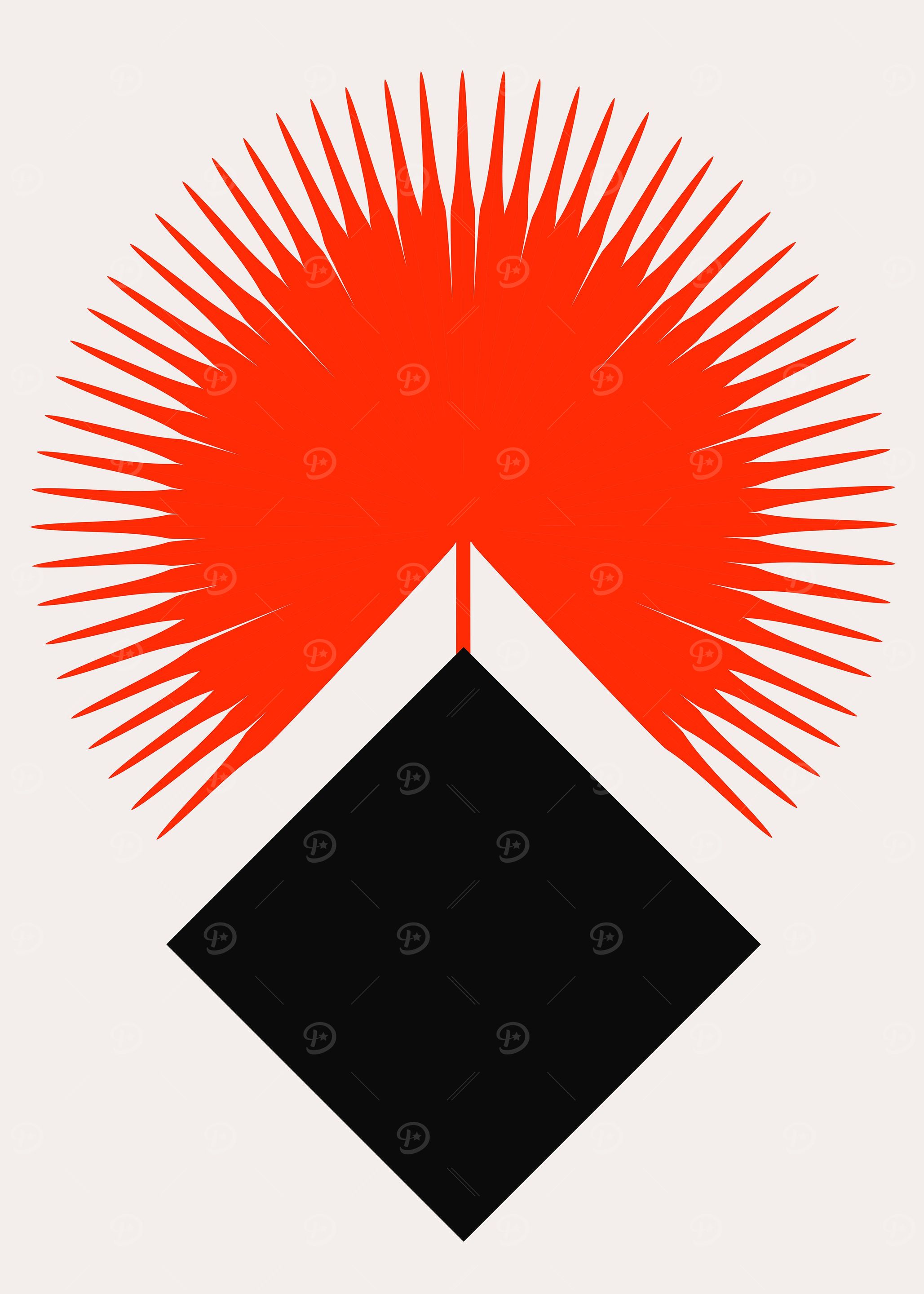 Shape No11