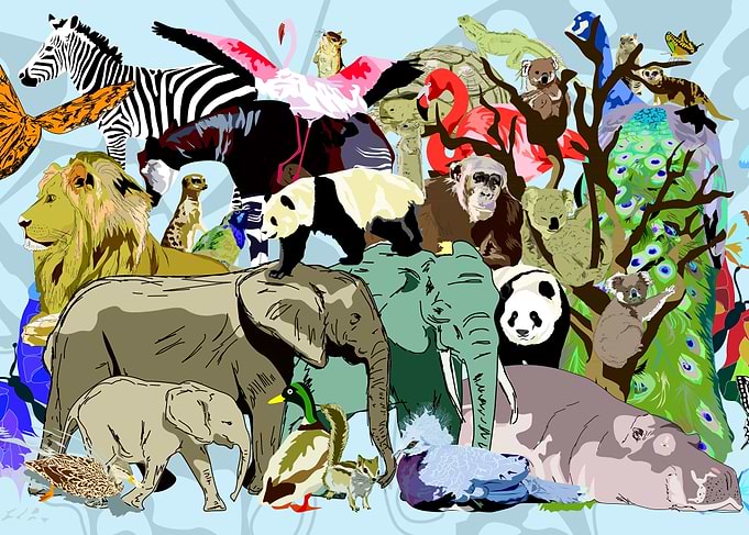 Zoo