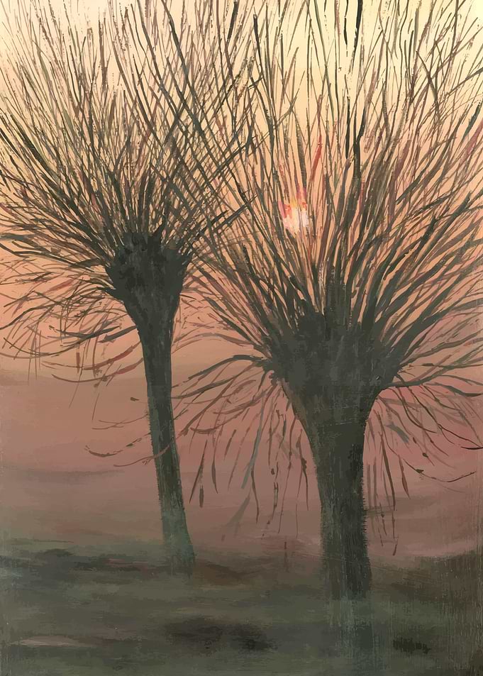 Down and willows
