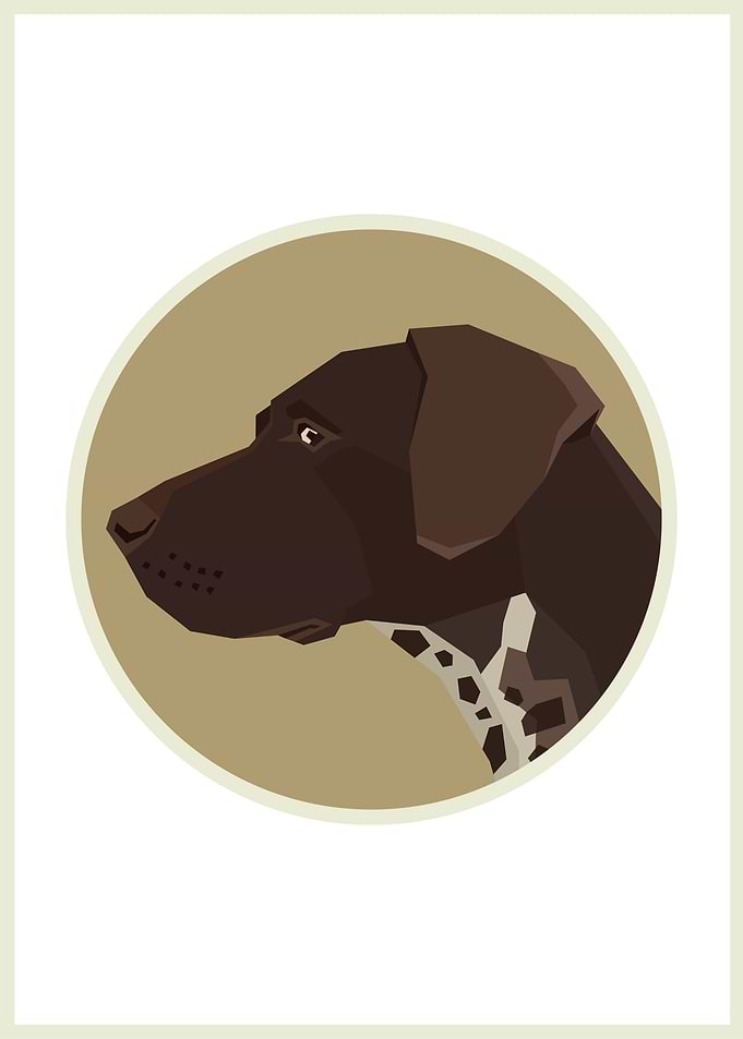 German shorthaired
