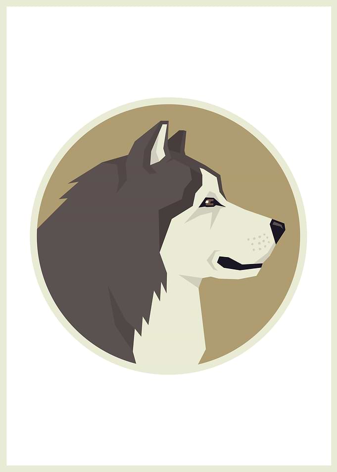 Alaskan Malamute