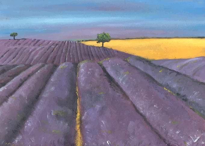 Filed of lavender