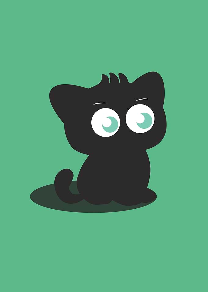 CUTE BLACK CAT