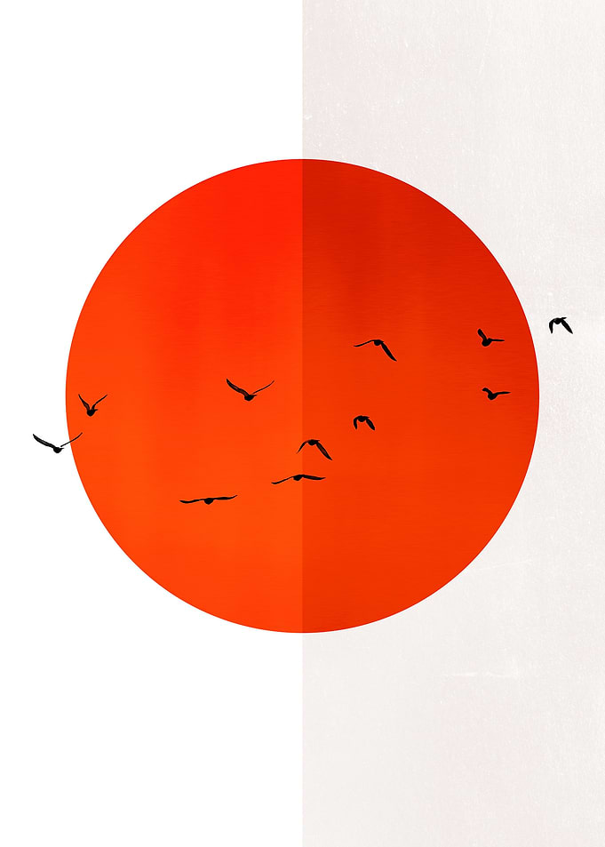 Seagulls Of The Sun